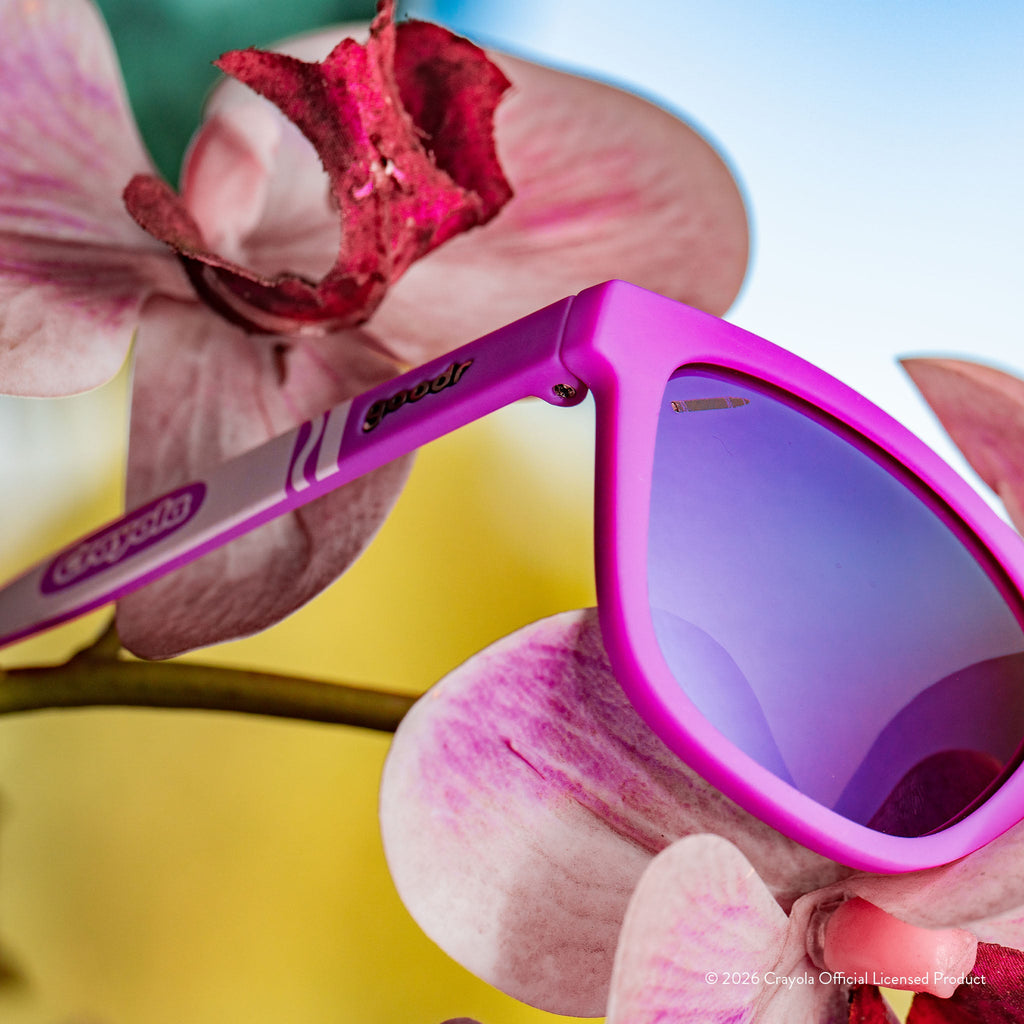 Wild Orchid