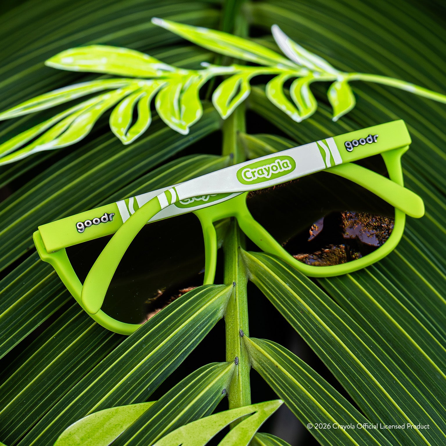 Palm Leaf