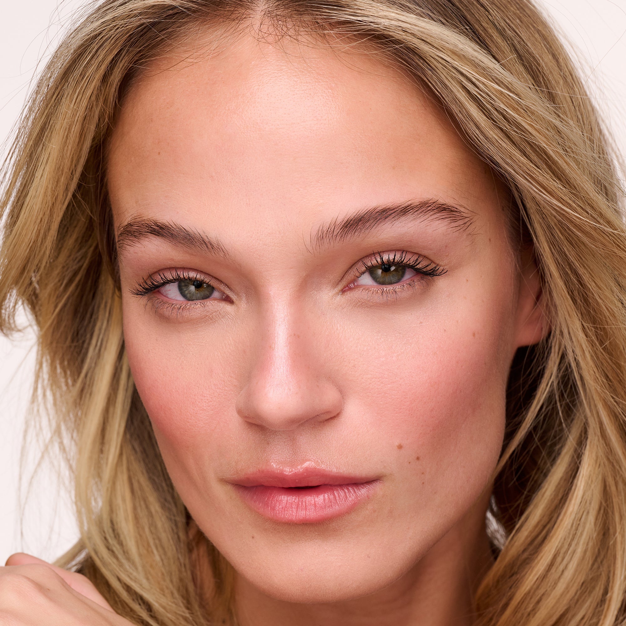 Contour Collections